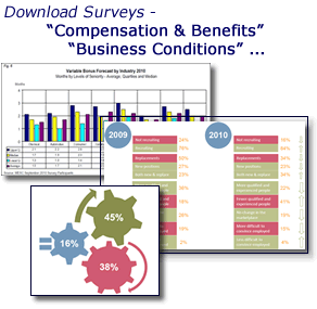 BCCT Business Surveys
